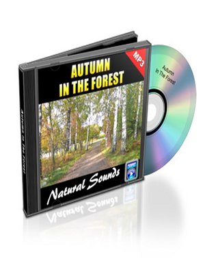 cover image of Autumn In the Forest--Relaxation Music and Sounds